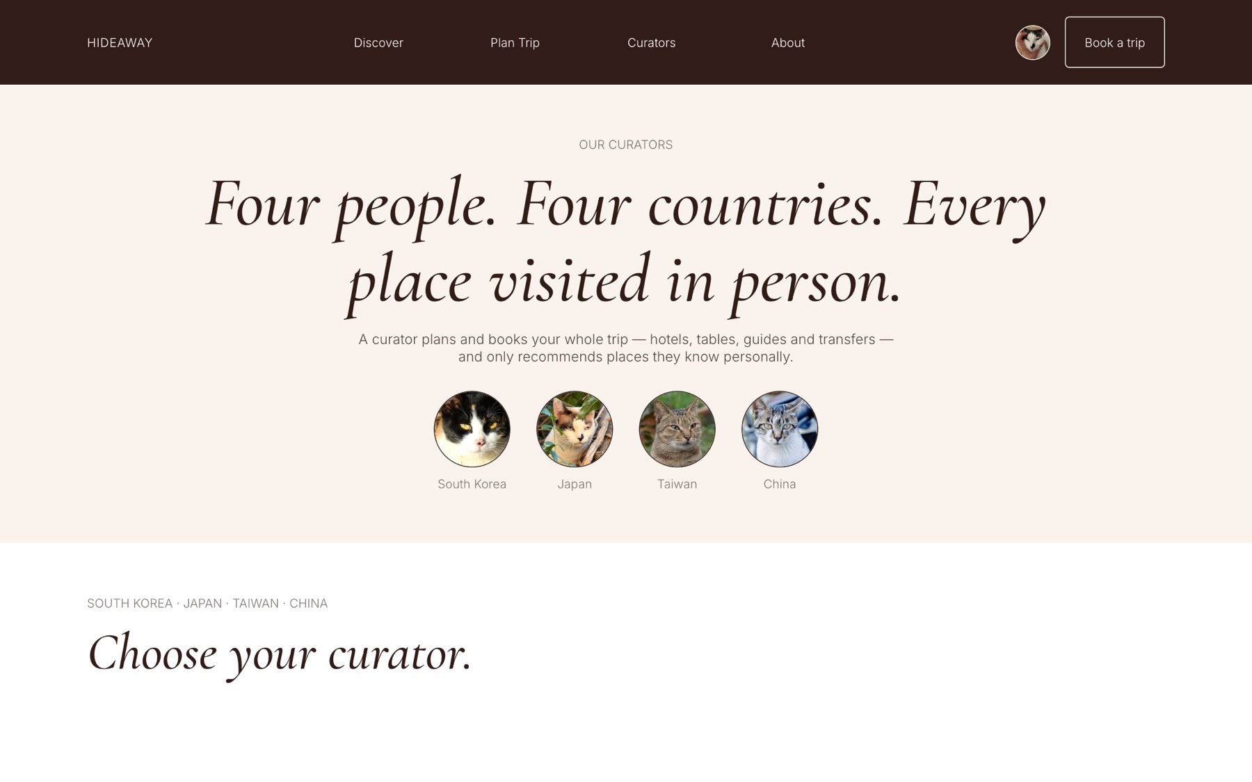 Curators page: four people, four countries